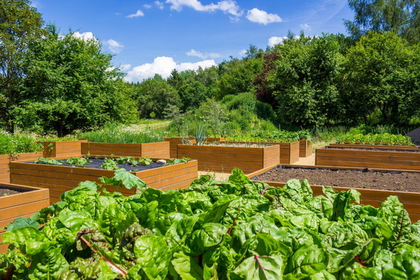 Die Alternative - Hochbeete aus Holz