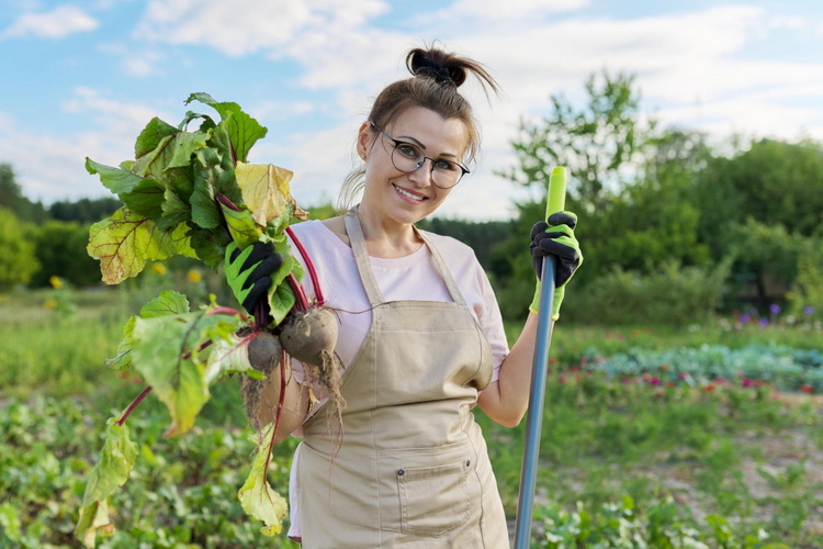 Anna: "Na, das sieht doch super aus - die Ernte kann beginnen"